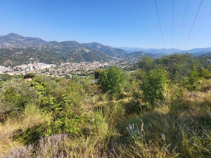 Terrain - 16 415 m²