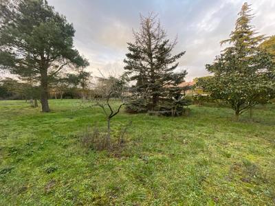 Terrain constructible - 802 m²