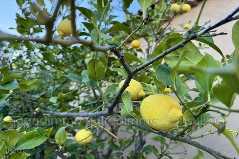 Maison - 174 m² - 5 pièces