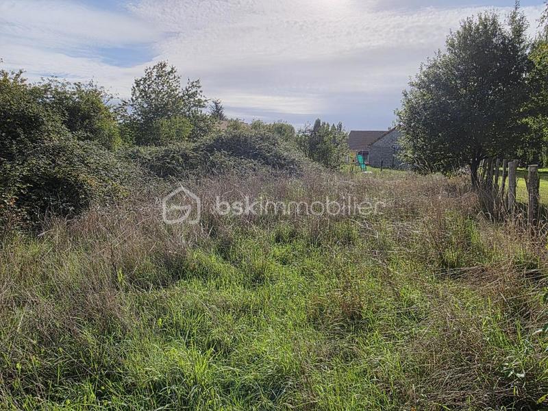 Terrain constructible - 1 831 m²