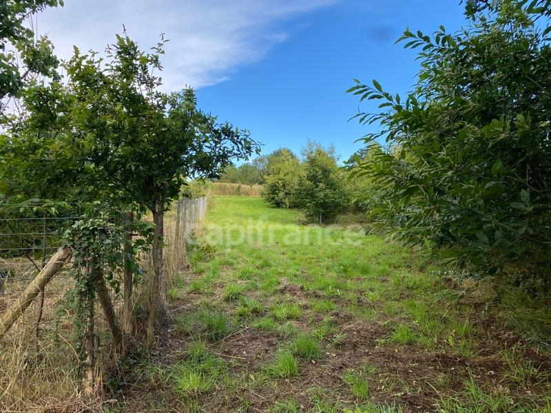 Terrain de loisirs - 8 400 m²