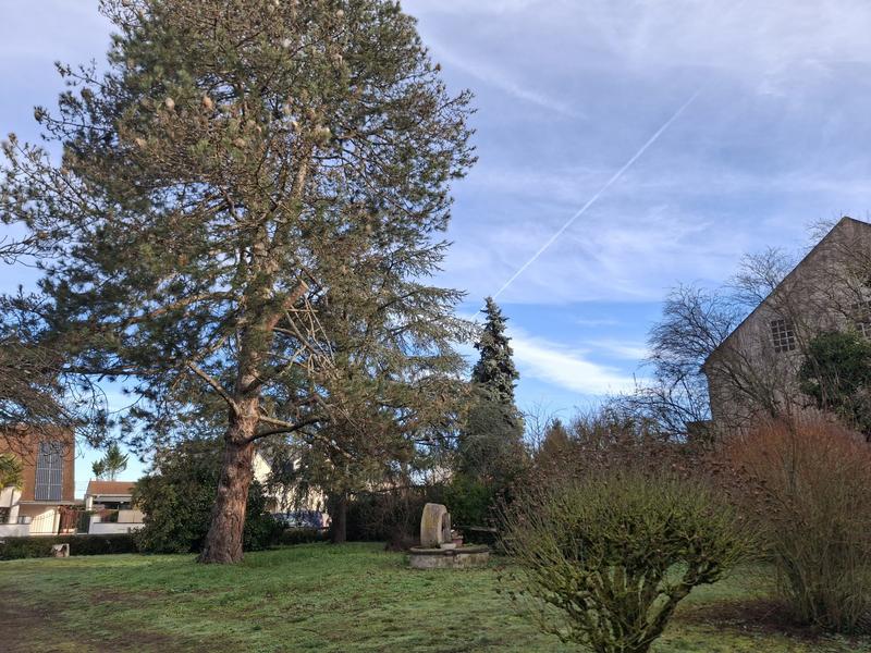 Maison ancienne - 179 m² - 7 pièces