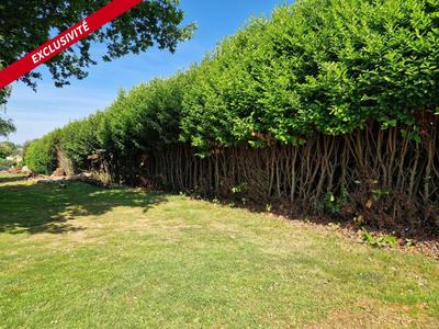 Terrain constructible - 1 765 m²