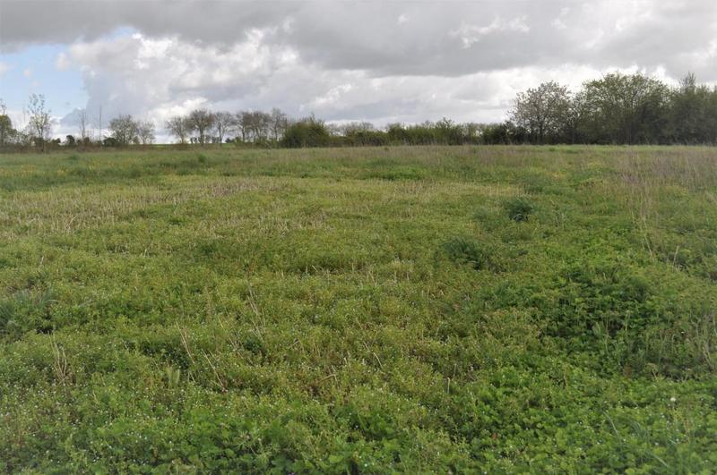 Terrain constructible - 4 979 m²