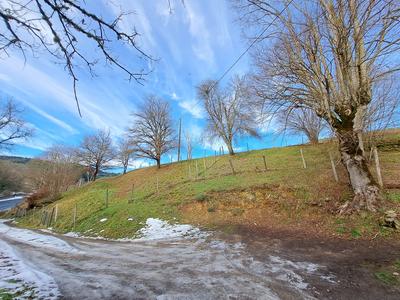 Maison - 139 m² - 5 pièces