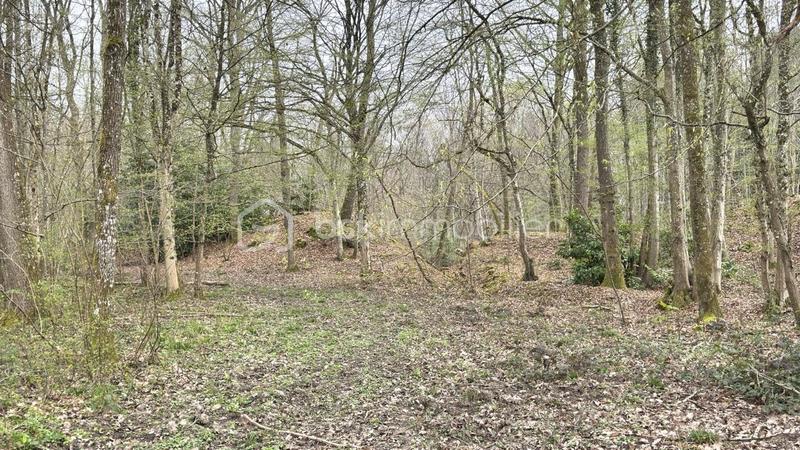 Terrain de loisirs - 96 594 m²