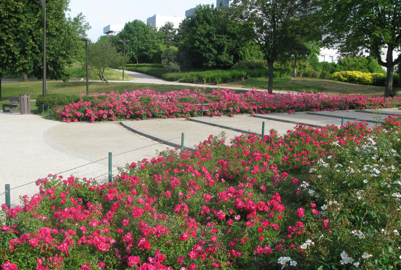 Appartement - 88 m² - 4 pièces