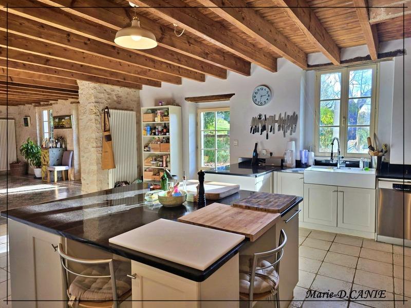 Maison - 480 m² - 10 pièces