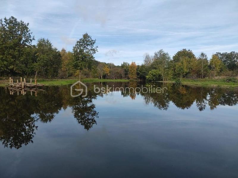 Étang - 27 010 m²