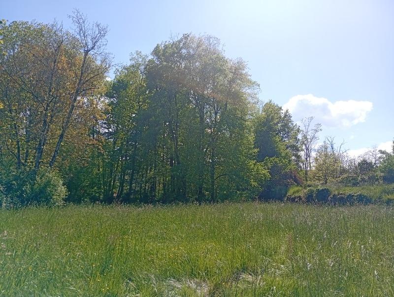 Terrain constructible - 1 100 m²