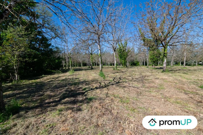 Terrain - 10 000 m²