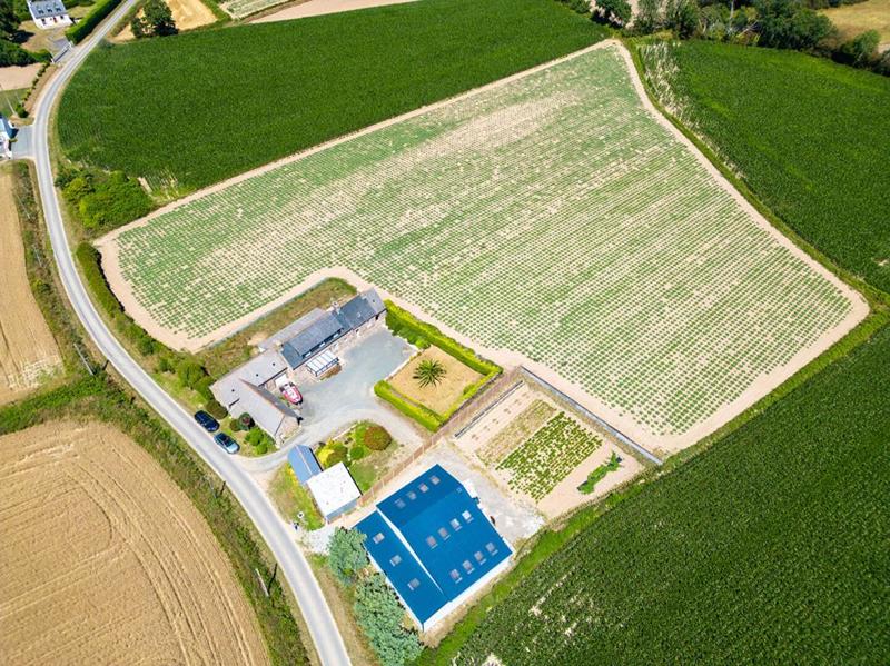 Corps de ferme - 122 m² - 6 pièces