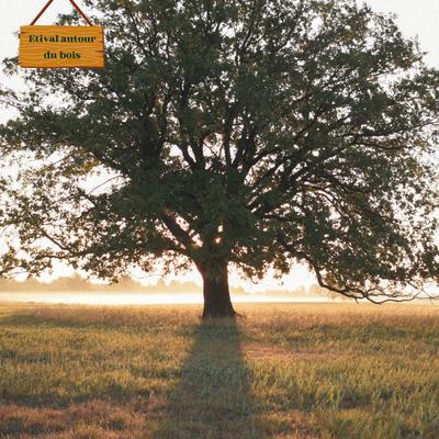 Exposition &quot;Comme un arbre&quot;