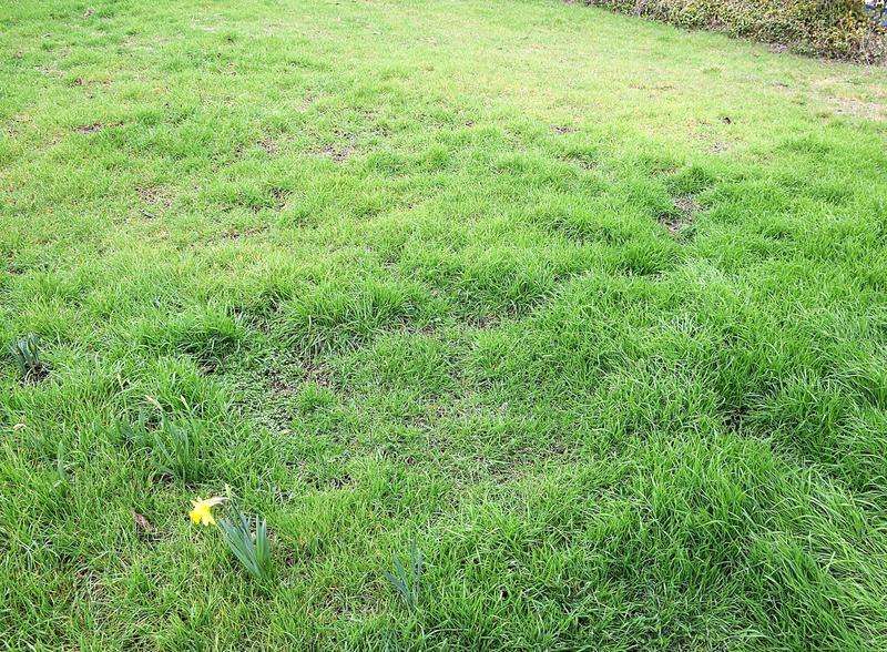 Terrain constructible - 758 m²