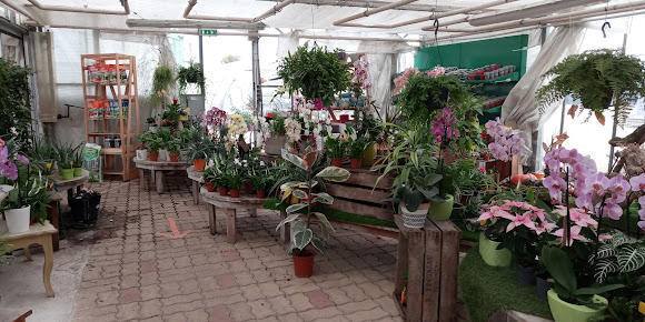 Aux Serres Hermitoises