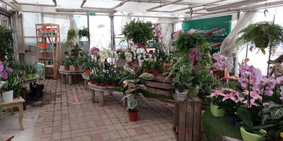 Aux Serres Hermitoises