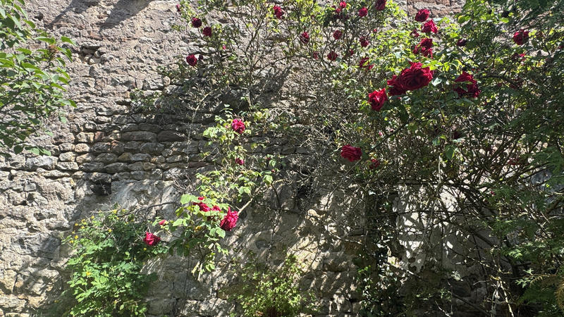 Maison - 42 m² - 3 pièces