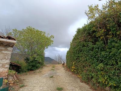 Terrain agricole - 4 833 m²