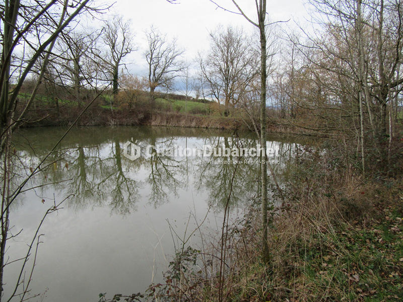 Terrain de loisirs - 17 000 m²