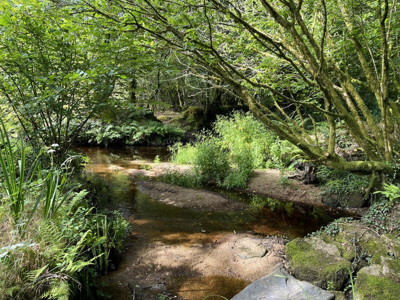 Longère - 118 m² - 6 pièces