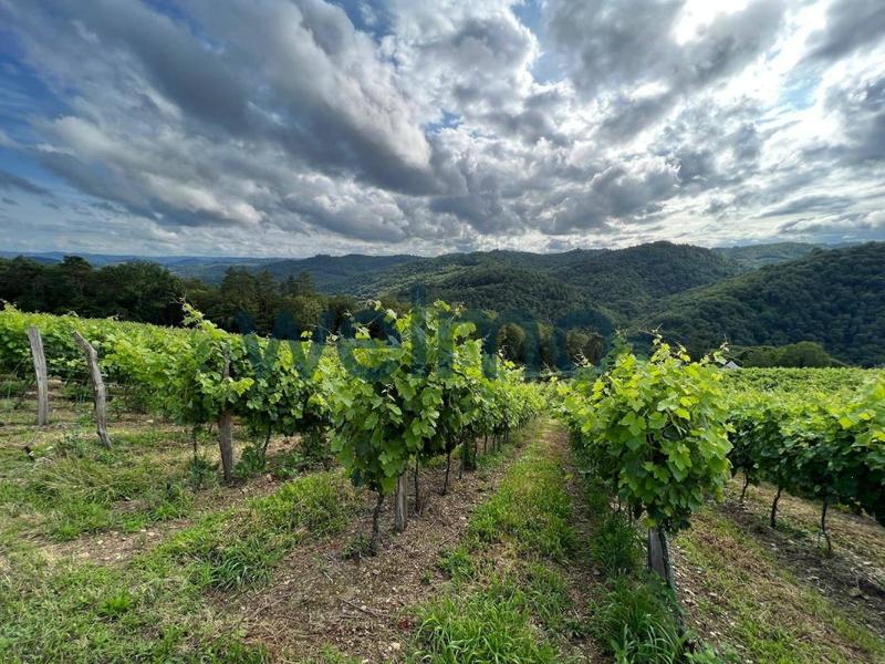 Maison - 150 m² - 3 pièces