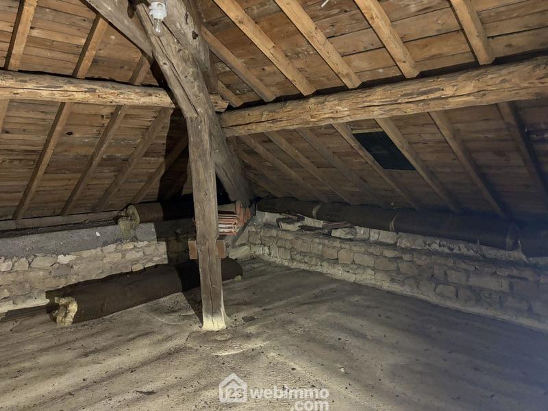 Maison de maîtres - 351 m² - 7 pièces