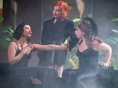 Spectacle - le Dindon