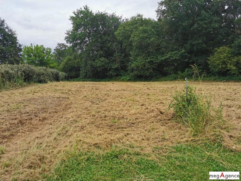 Terrain constructible - 2 388 m²