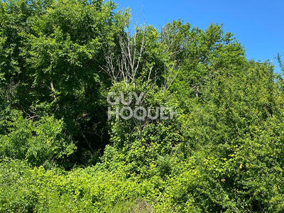 Terrain - 33 667 m²