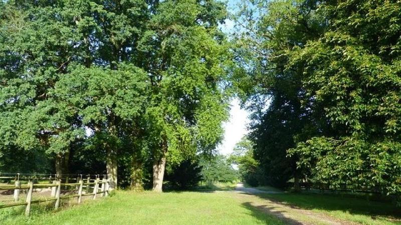 Maison - 240 m² - 14 pièces