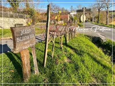 Terrain constructible - 18 358 m²