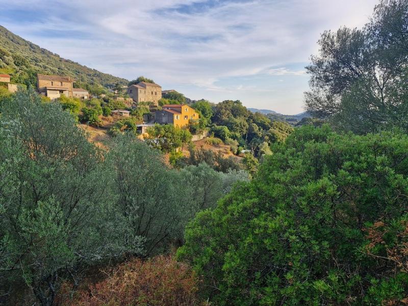 Maison de campagne - 171 m² - 9 pièces