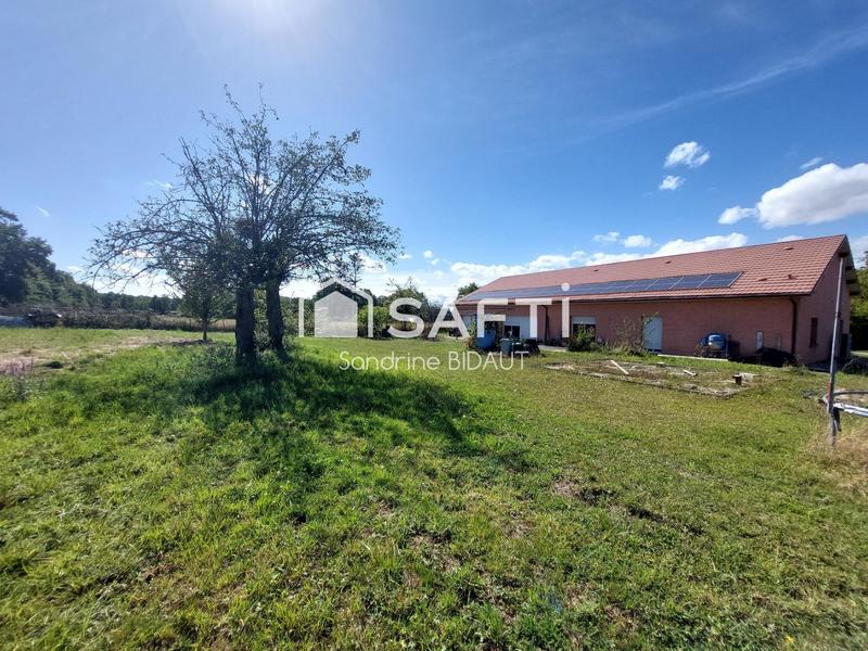 Maison - 282 m² - 8 pièces