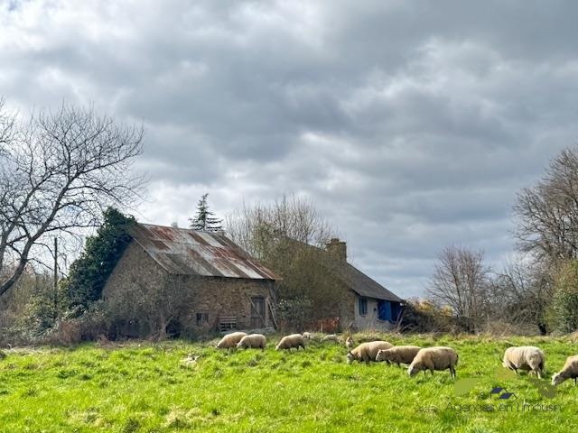 Maison de campagne - 74 m² - 4 pièces