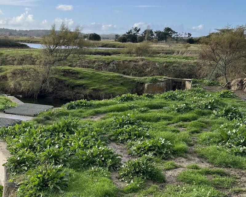 Terrain - 11 140 m²