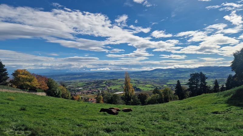 Châlet - 142 m² - 8 pièces