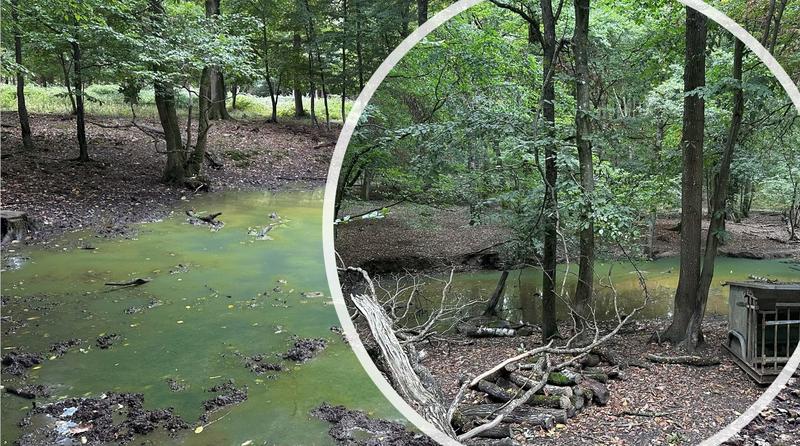 Terrain de loisirs - 850 000 m²