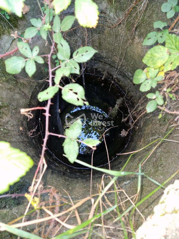 Terrain - 16 575 m²