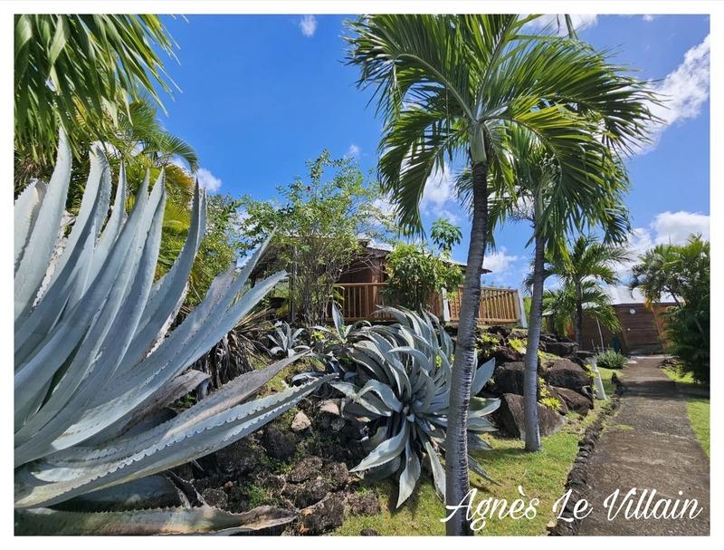 Bungalow - 22 m² - 2 pièces