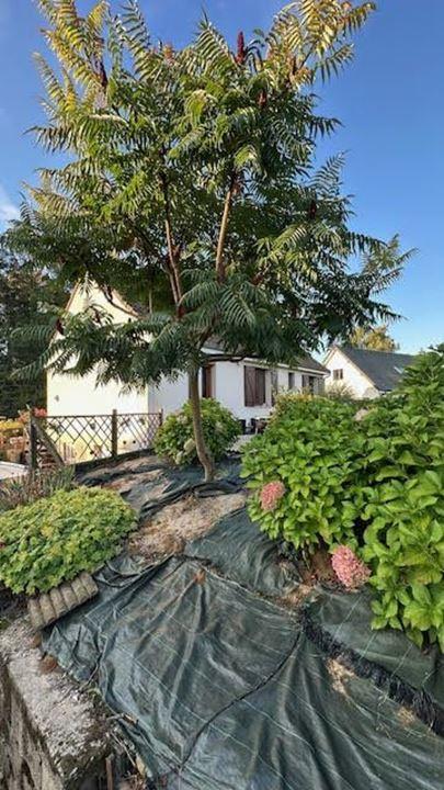 Maison traditionnelle - 72 m² - 4 pièces