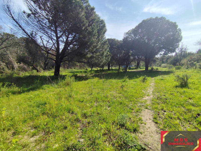 Terrain agricole - 7 855 m²
