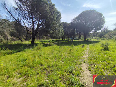 Terrain agricole - 7 855 m²