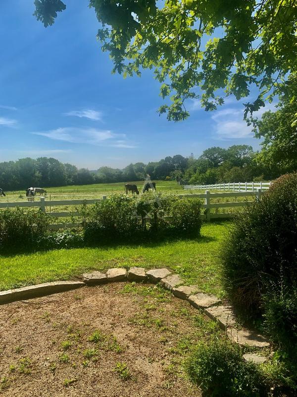 Manoir - 440 m² - 15 pièces