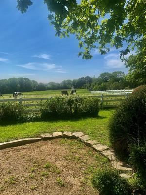 Manoir - 440 m² - 15 pièces