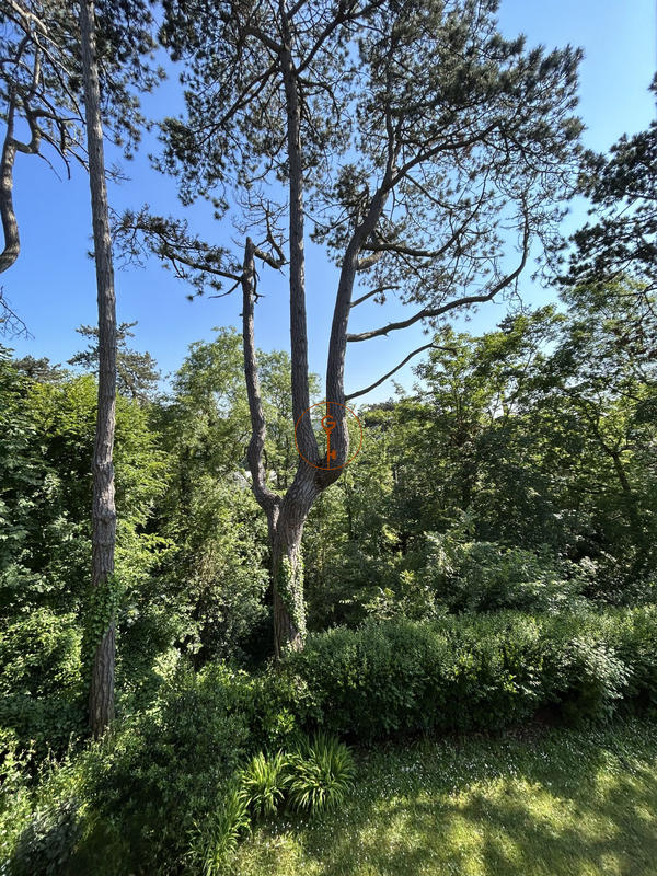 Villa - 270 m² - 8 pièces