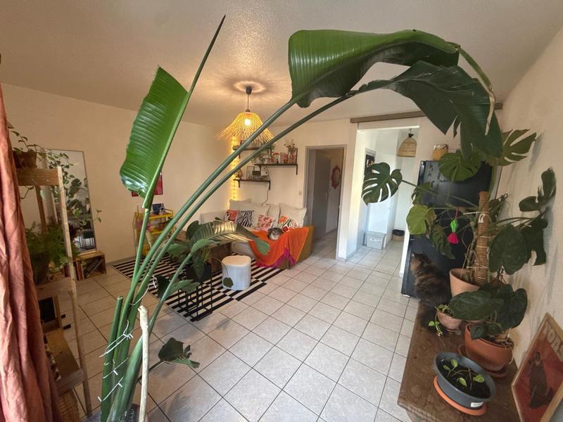 Appartement - 39 m² - 2 pièces