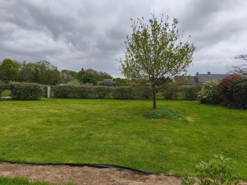 Terrain - 554 m²