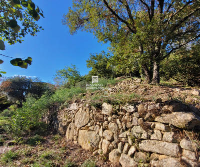 Terrain constructible - 785 m²