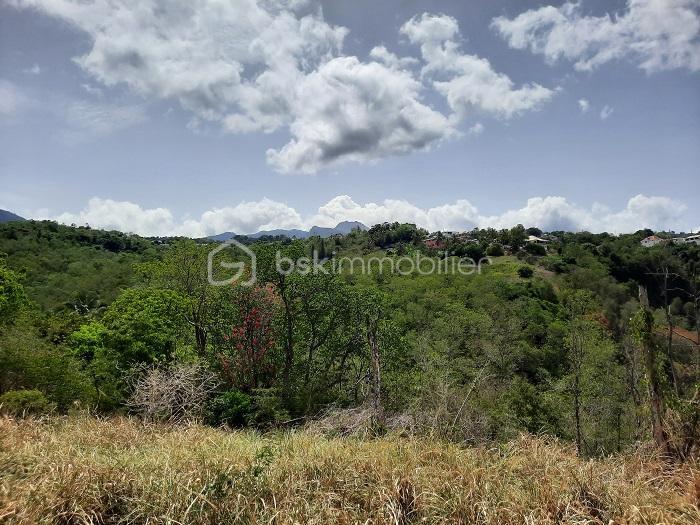 Terrain - 5 020 m²
