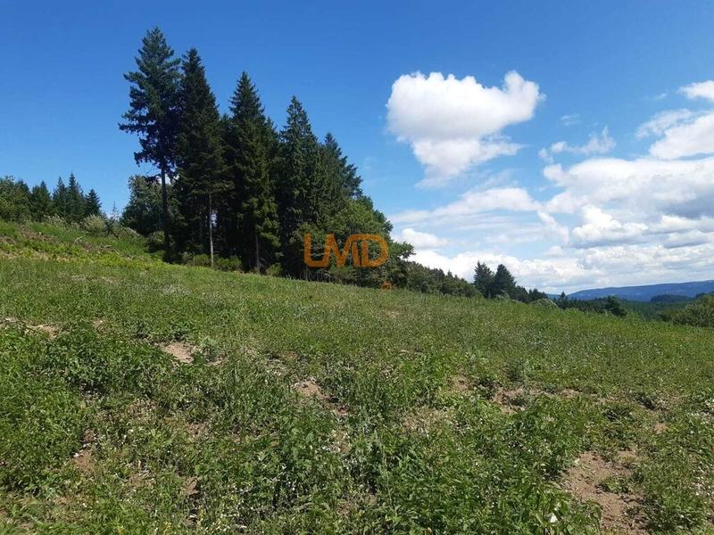 Terrain constructible - 1 453 m²